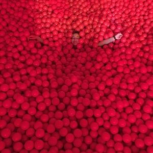 Meet your Posher, Sasha